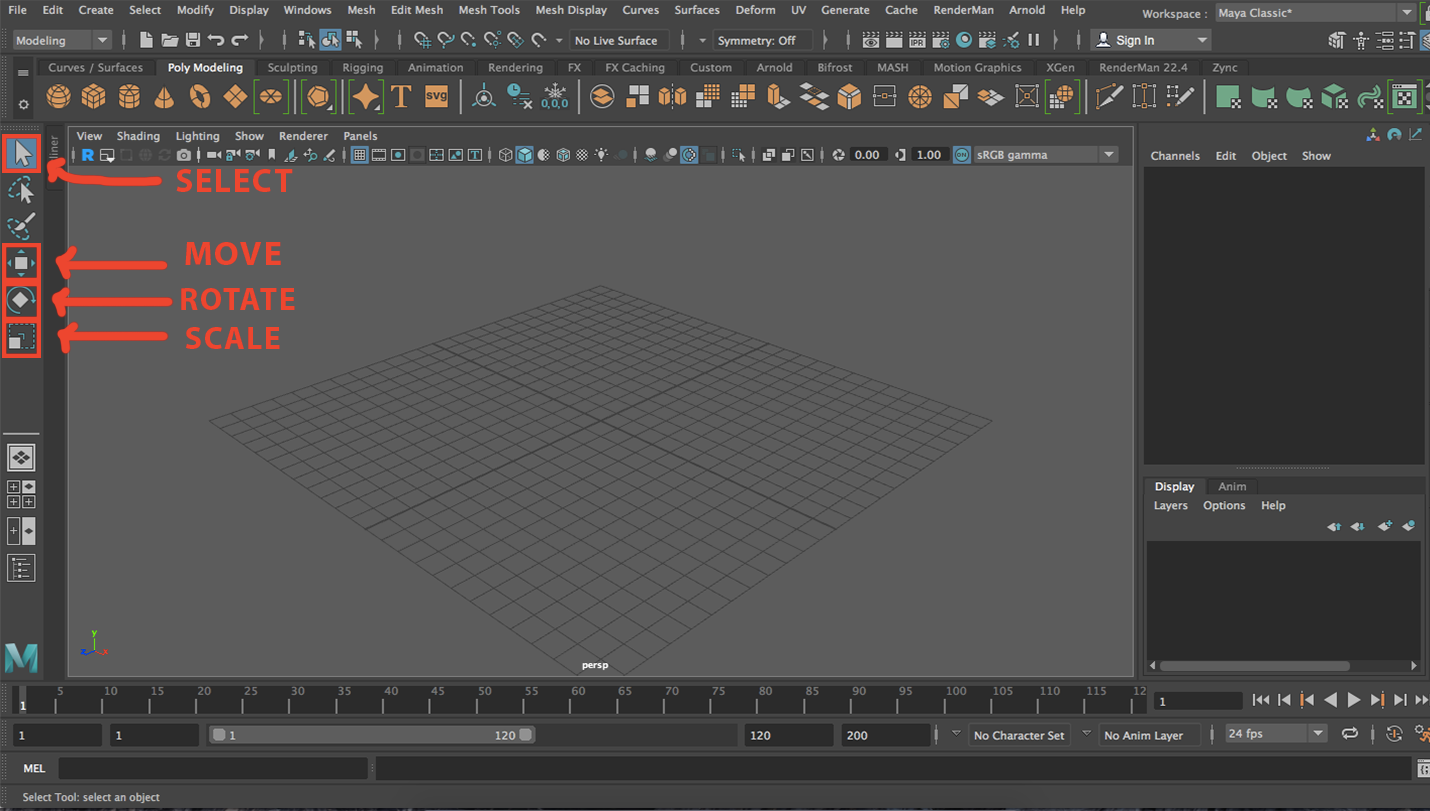 Introduction to Maya